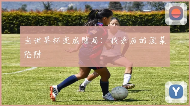 当世界杯变成赌局：我亲历的菠菜陷阱