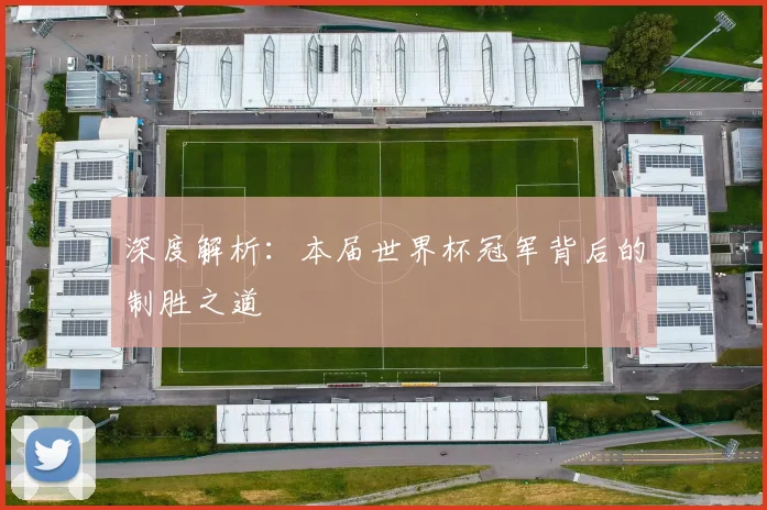 深度解析：本届世界杯冠军背后的制胜之道