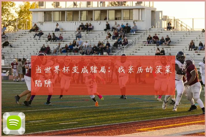 当世界杯变成赌局：我亲历的菠菜陷阱