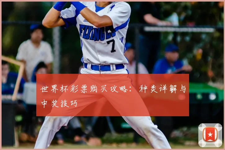 世界杯彩票购买攻略:种类详解与中奖技巧