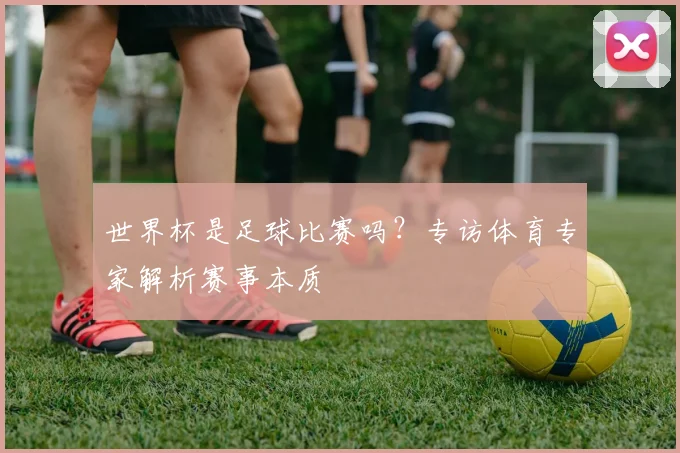 世界杯是足球比赛吗？专访体育专家解析赛事本质