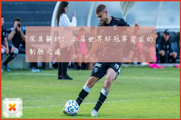 深度解析:本届世界杯冠军背后的制胜之道