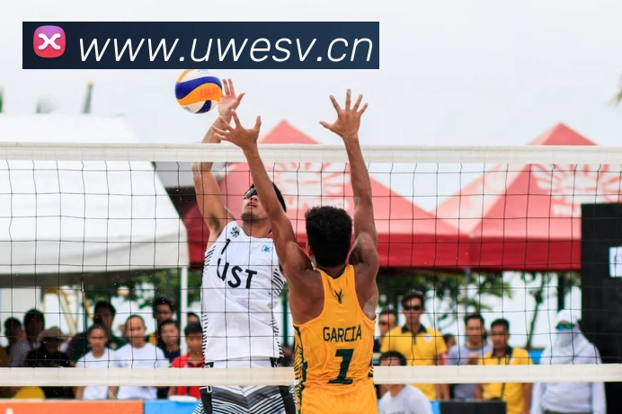 乐竞在线登录入口平台生态图